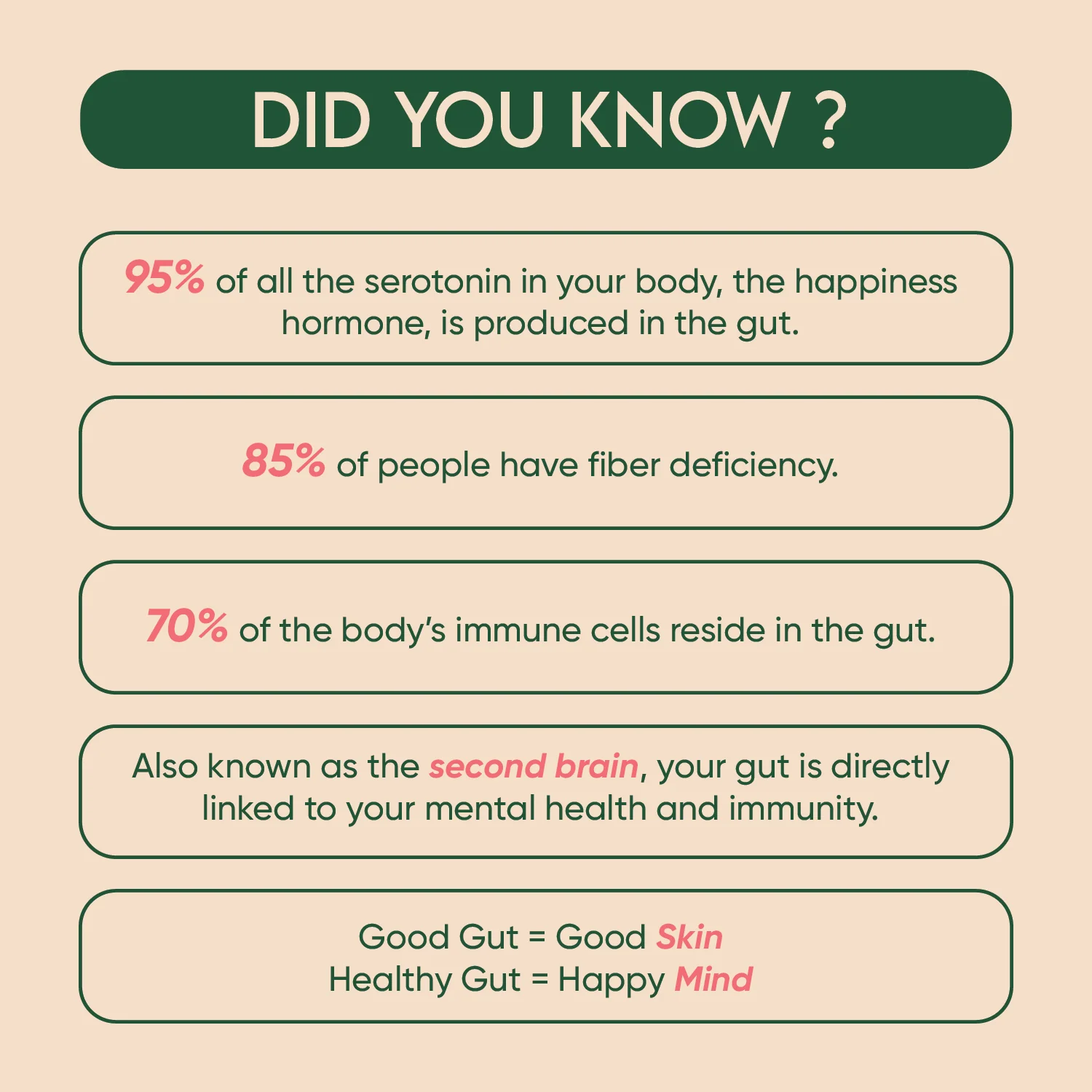 HYDRATION + GUT SET - Image 15