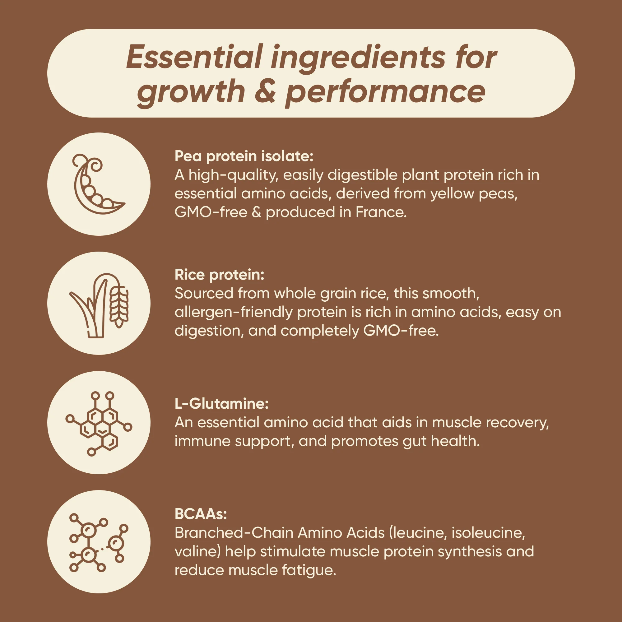 Protein & Gut Health Pack - Image 13